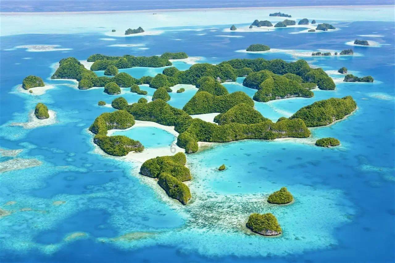动词游戏