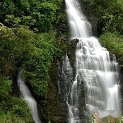 春雨直播app