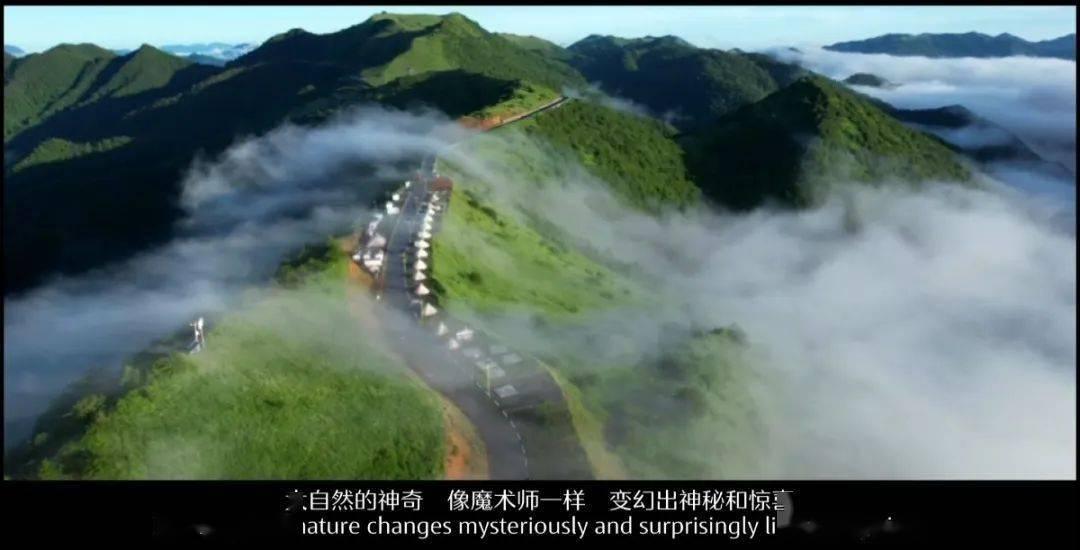 逃离潮湿的房屋